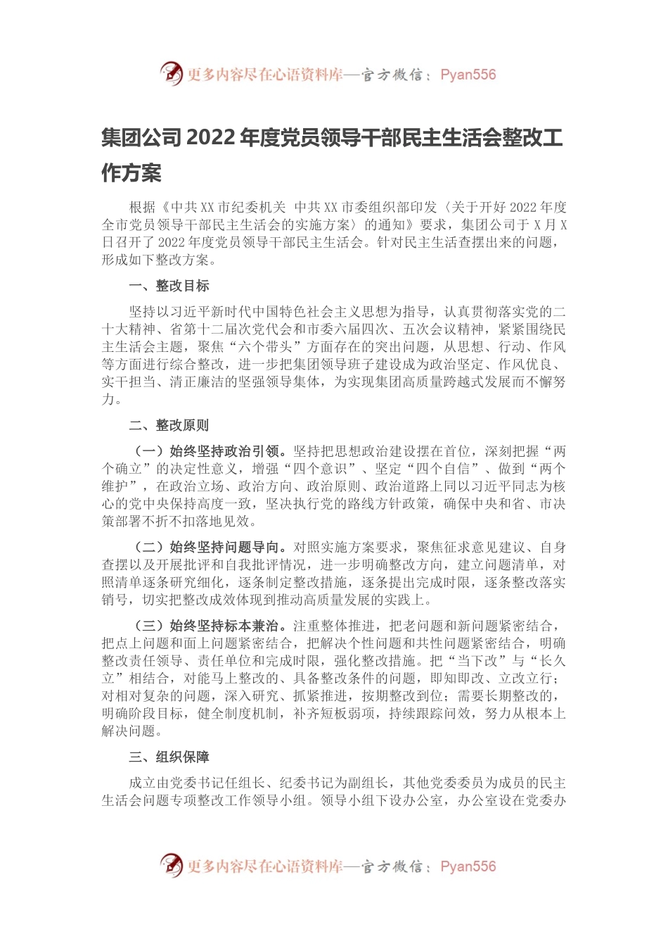 集团公司2022年度党员领导干部民主生活会整改工作方案.docx_第1页