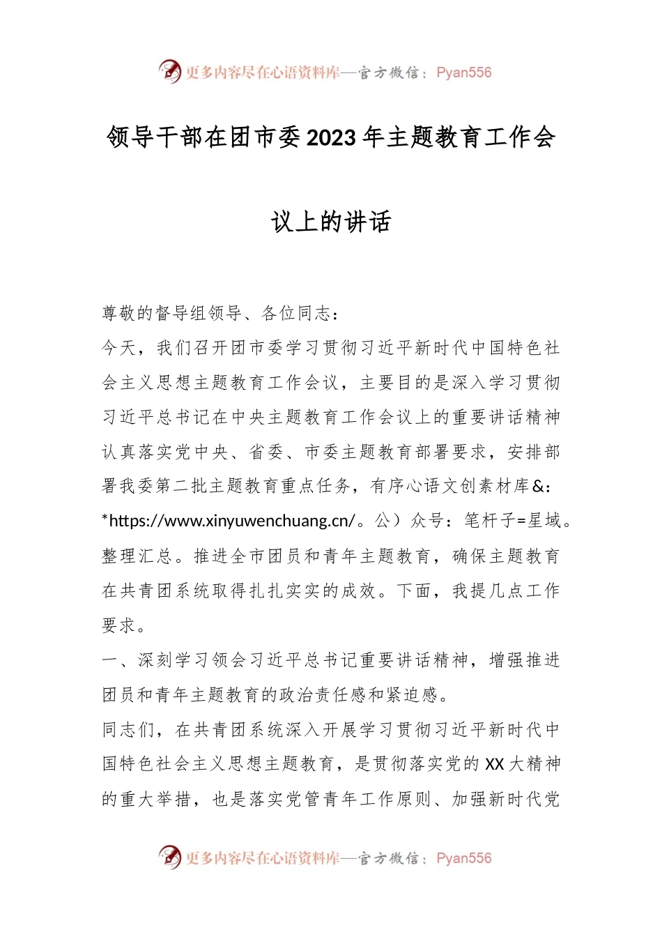 领导干部在团市委2023年主题教育工作会议上的讲话.docx_第1页