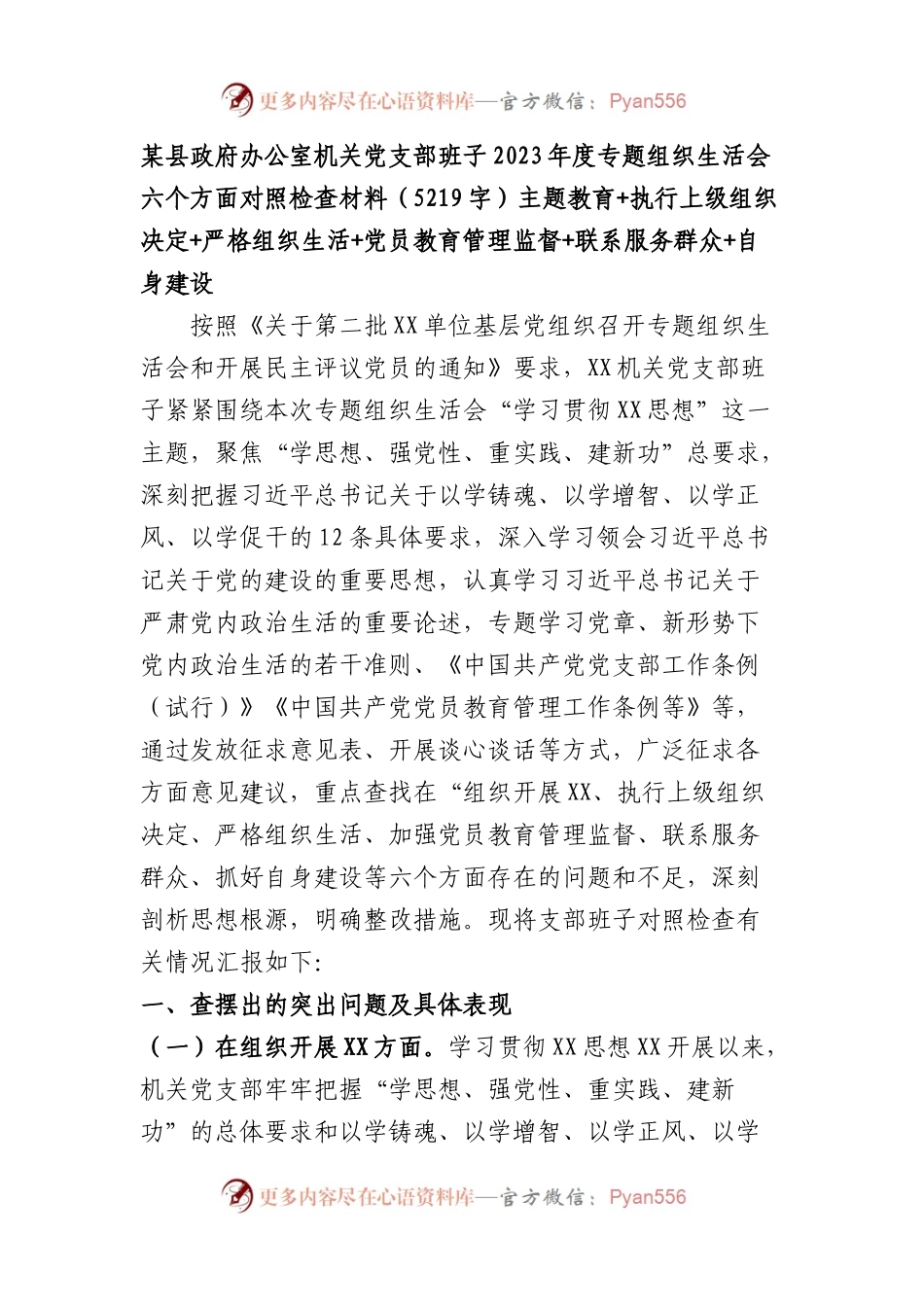 （政府办支部班子）2023年度主题教育专题组织生活会六个方面对照检查材料（主题教育+执行上级组织决定+严格组织生活+党员教育管理监督+联系服务群众+自身建设.docx_第1页