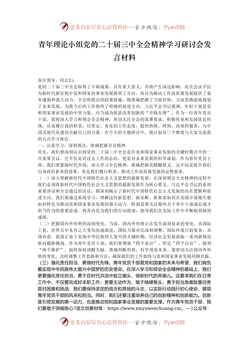青年理论小组党的二十届三中全会精神学习研讨会发言材料.docx_第1页