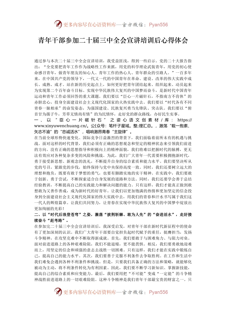 青年干部参加二十届三中全会宣讲培训后心得体会.docx_第1页