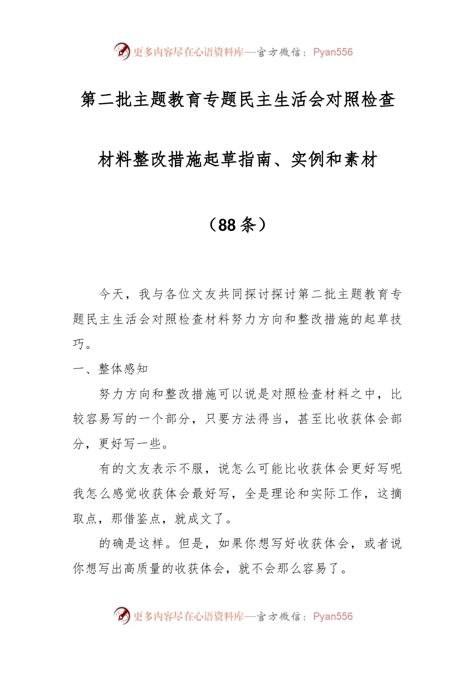 （88条）第二批主题教育专题民主生活会对照检查材料整改措施起草指南、实例和素材.docx_第1页