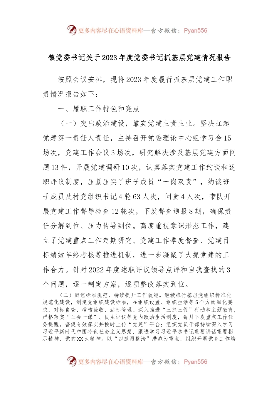 镇党委书记关于2023年度党委书记抓基层党建情况报告.docx_第1页