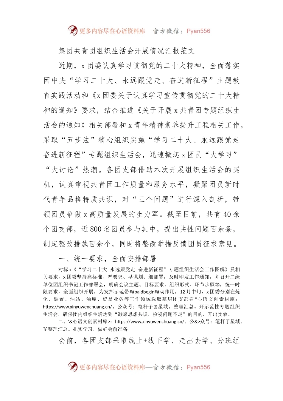 集团共青团组织生活会开展情况汇报范文.docx_第1页