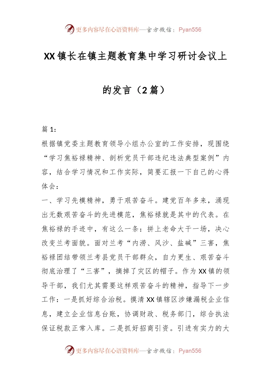 （2篇）XX镇长在镇主题教育集中学习研讨会议上的发言.docx_第1页