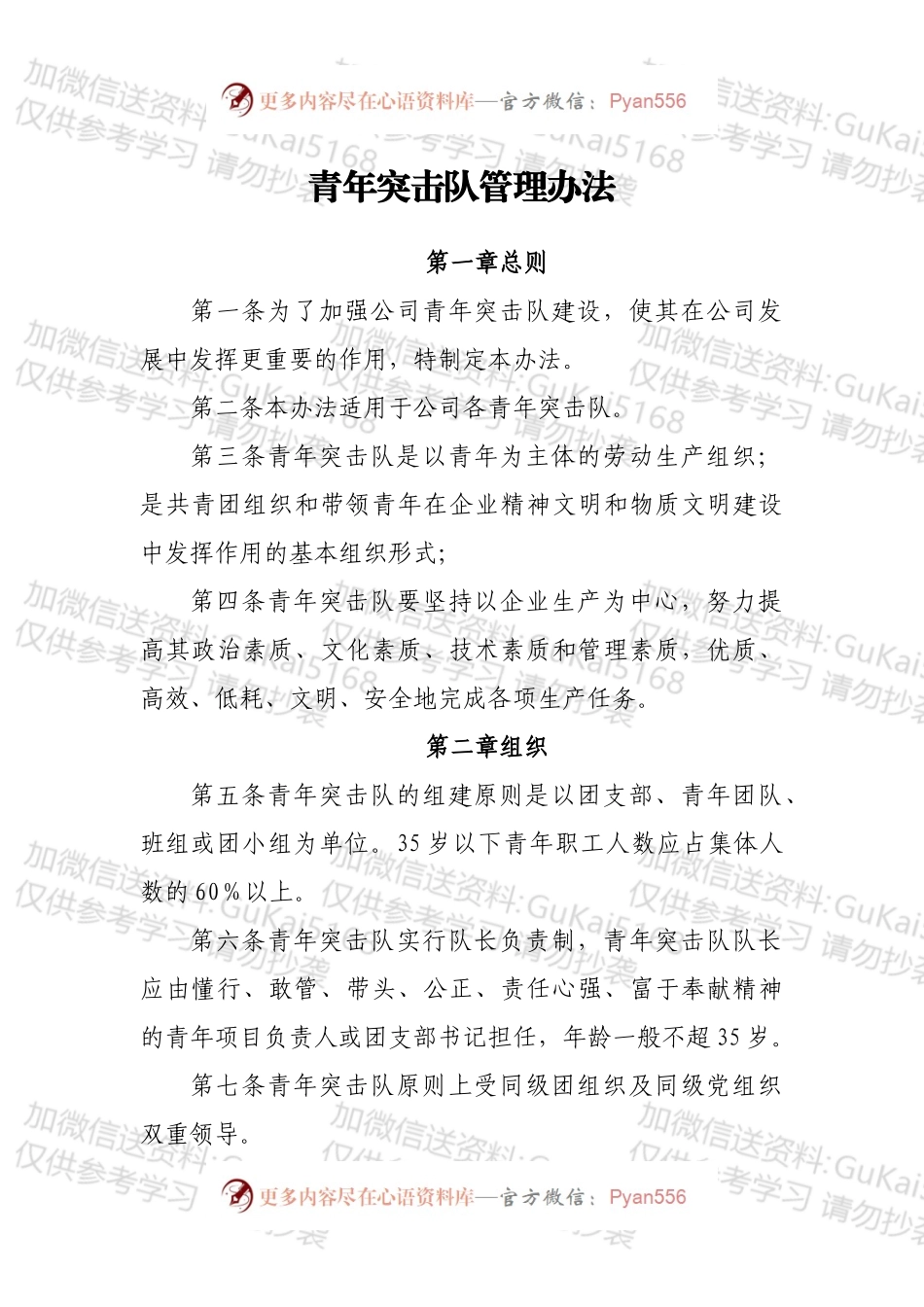 青年突击队管理办法.docx_第1页