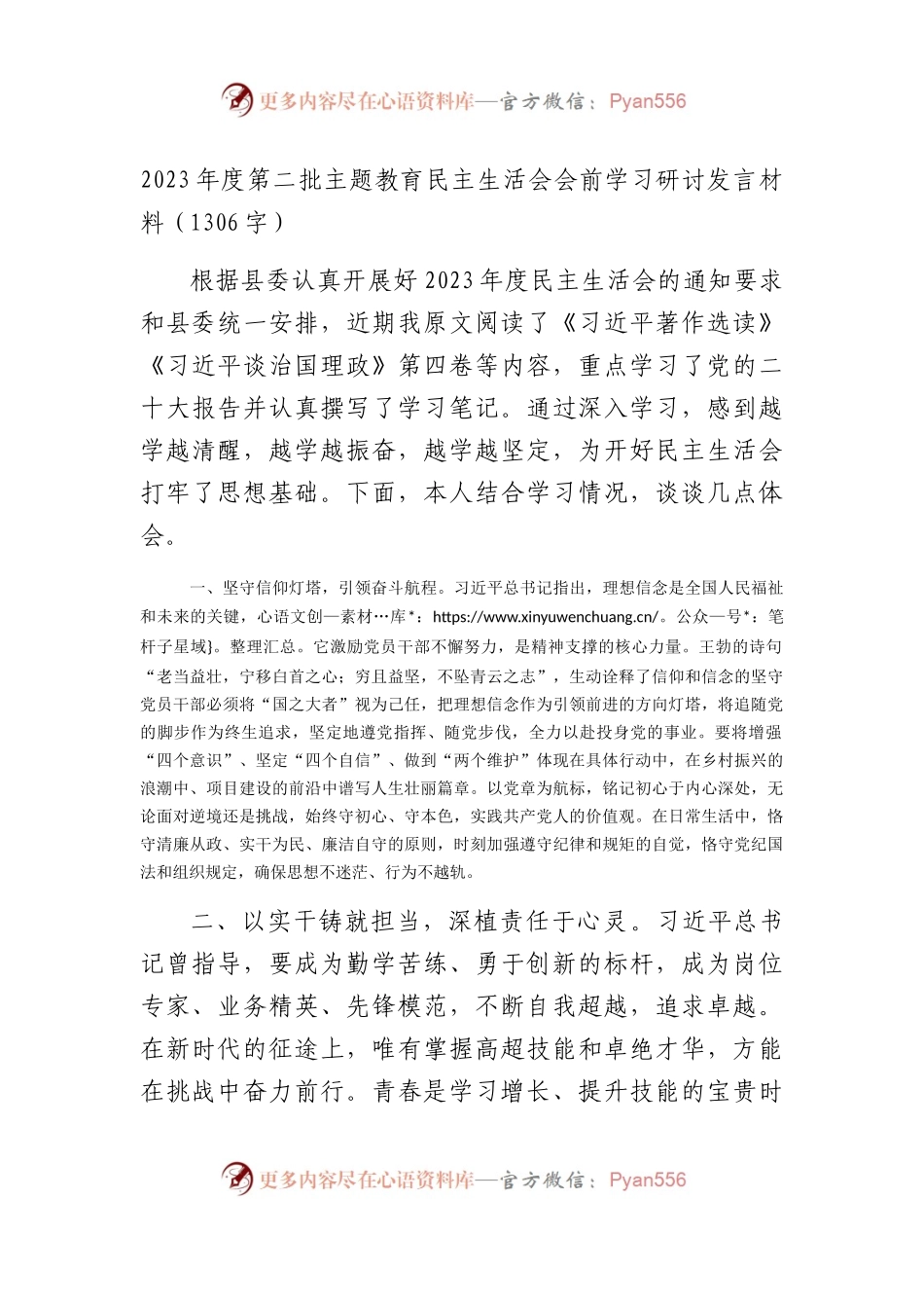 （会前）2023年度第二批主题教育民主生活会会前学习研讨发言材料.docx_第1页