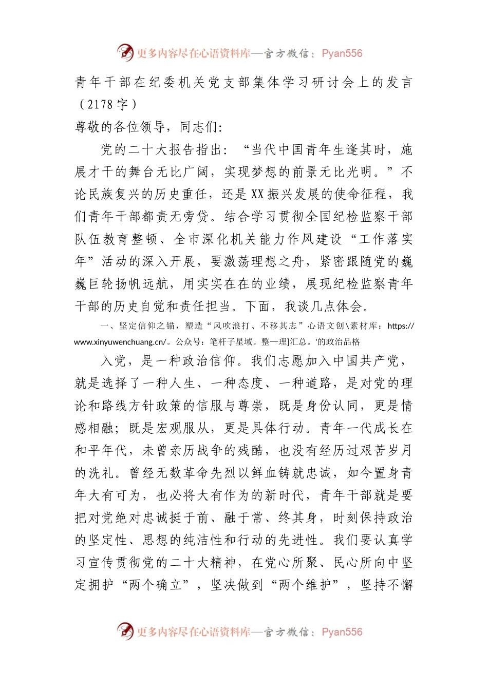 青年干部在纪委机关党支部集体学习研讨会上的发.docx_第1页