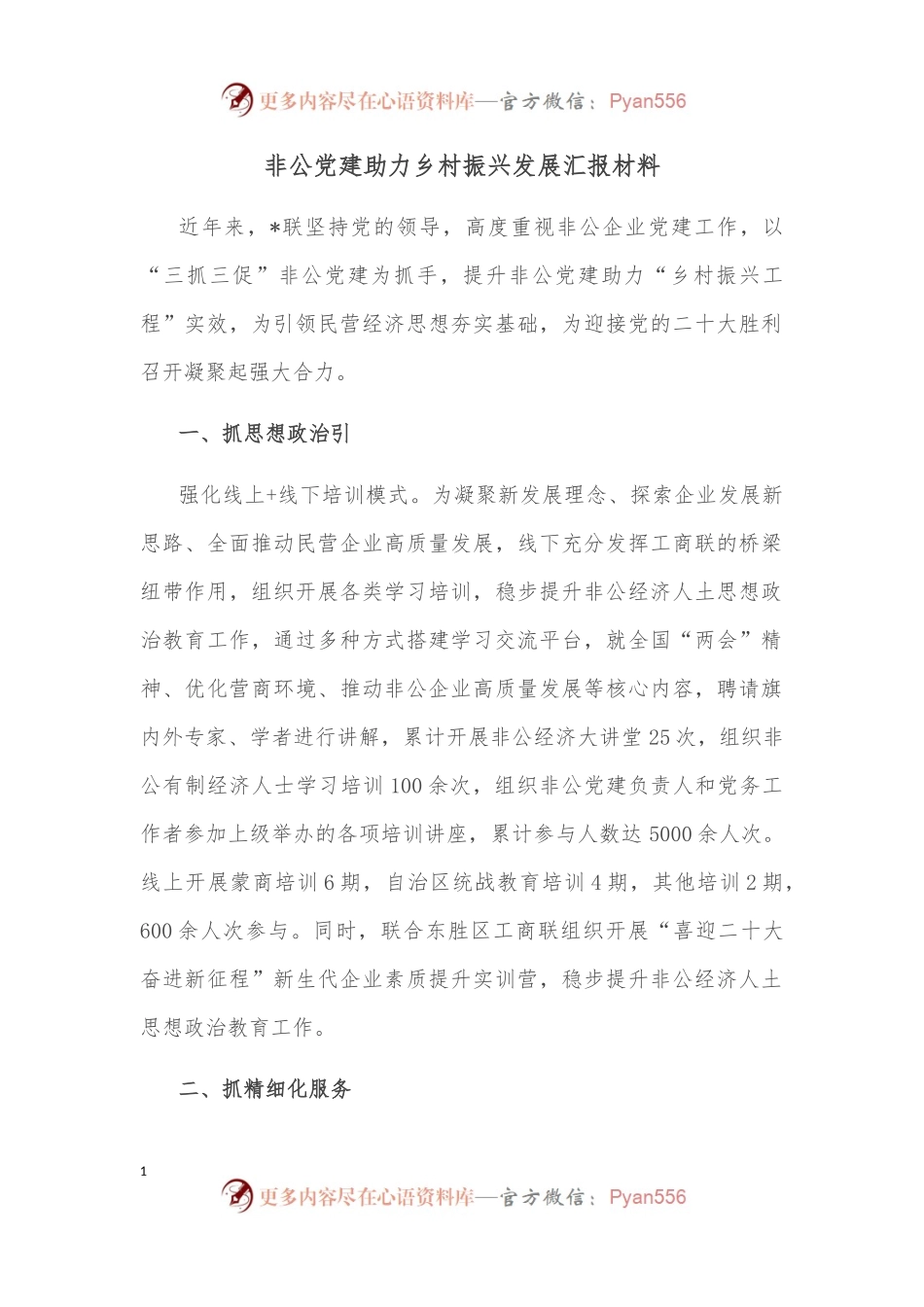 非公党建助力乡村振兴发展汇报材料.docx_第1页
