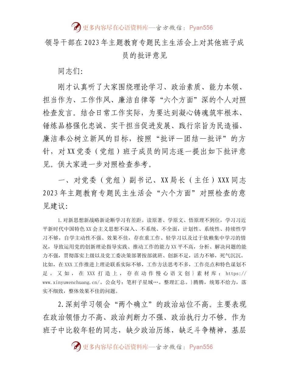 领导干部在2023年主题教育专题民主生活会上对其他班子成员的批评意见(1).docx_第1页