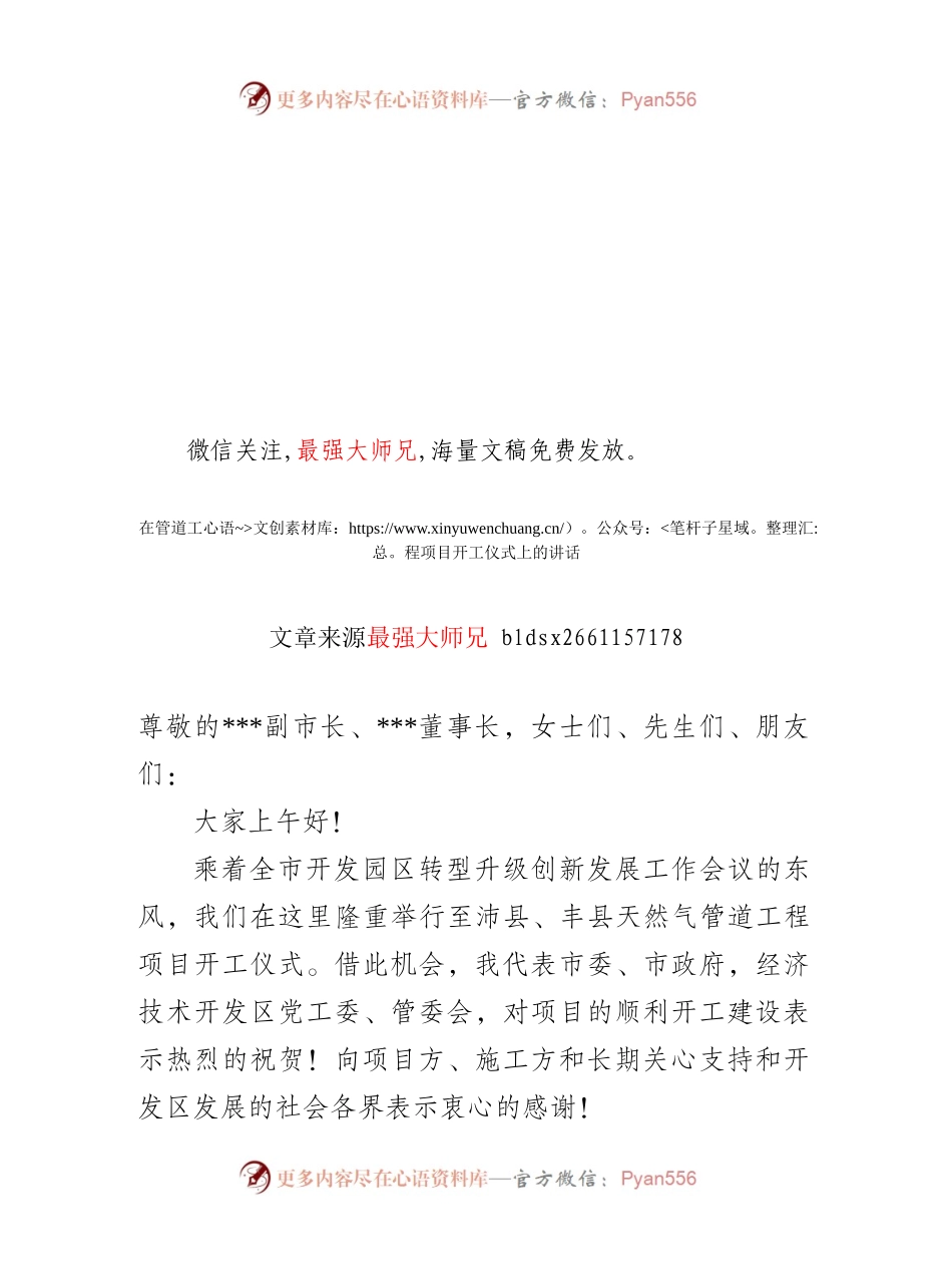 项目集中开工竣工讲话致辞合集.docx_第1页
