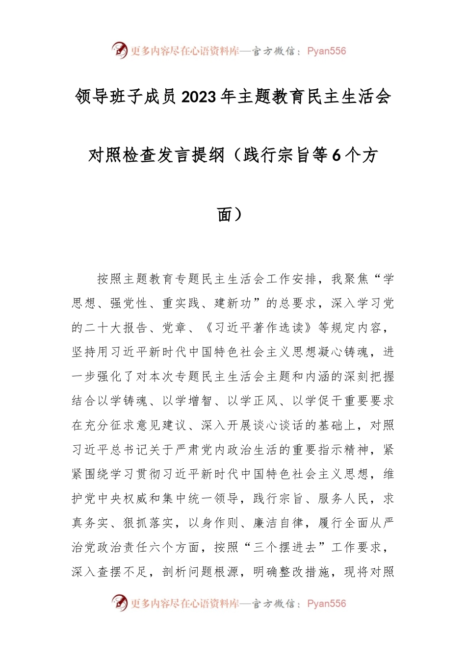 领导班子成员2023年主题教育民主生活会对照检查发言稿提纲（践行宗旨等6个方面）.docx_第1页