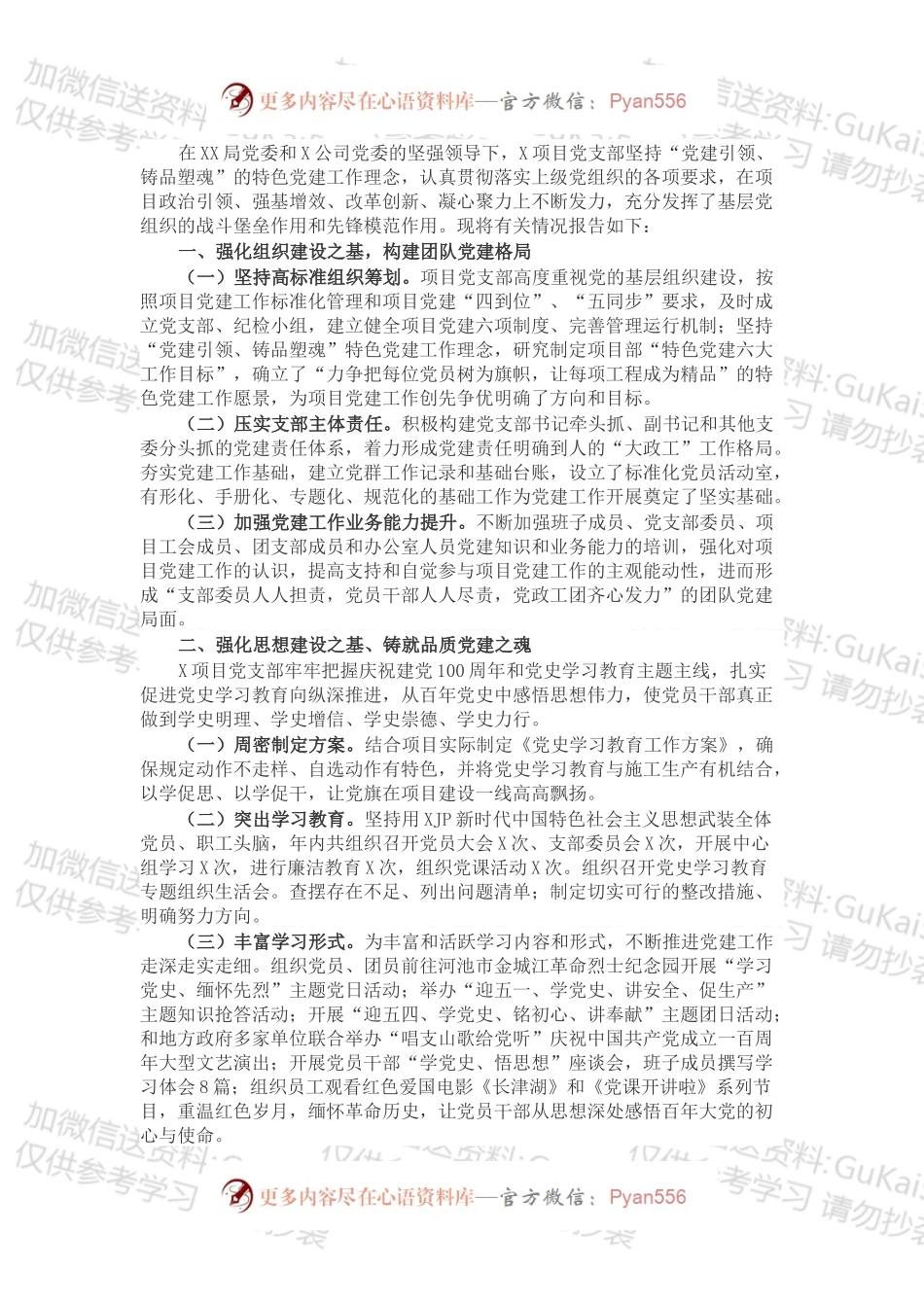 项目党支部202X年党建工作总结报告.docx_第1页