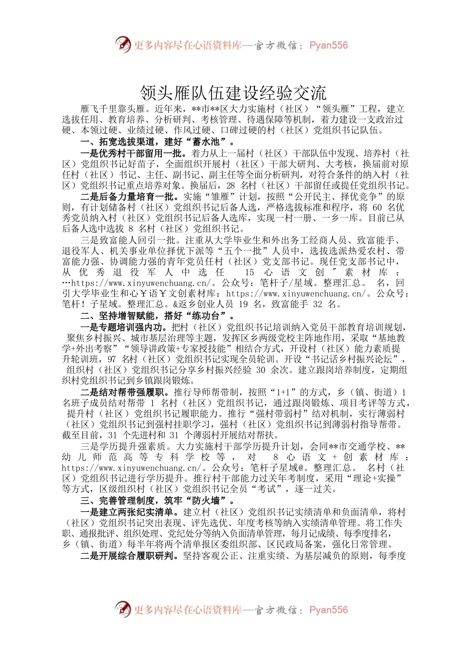 领头雁队伍建设经验交流.docx_第1页