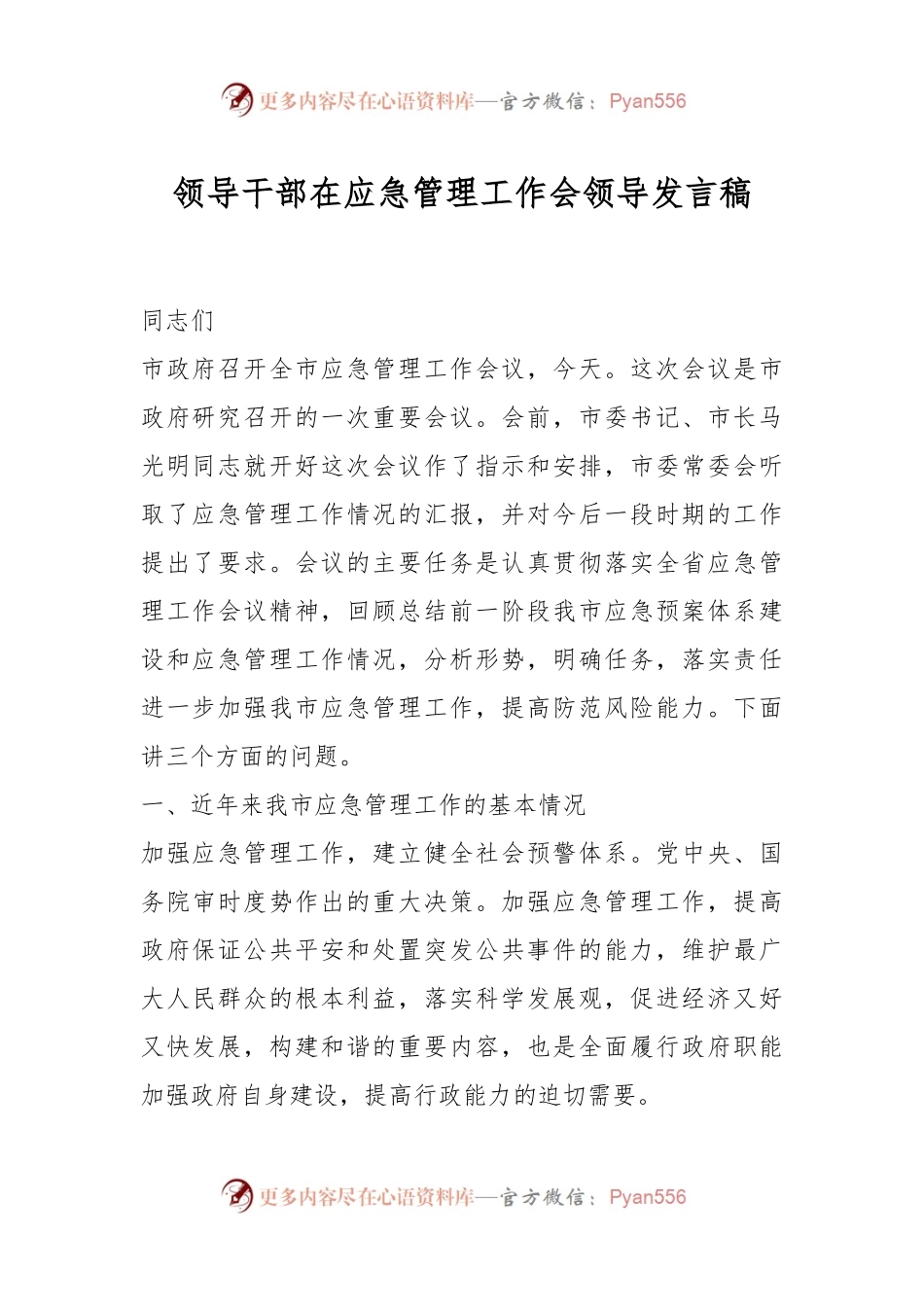 领导干部在应急管理工作会领导发言稿.docx_第1页
