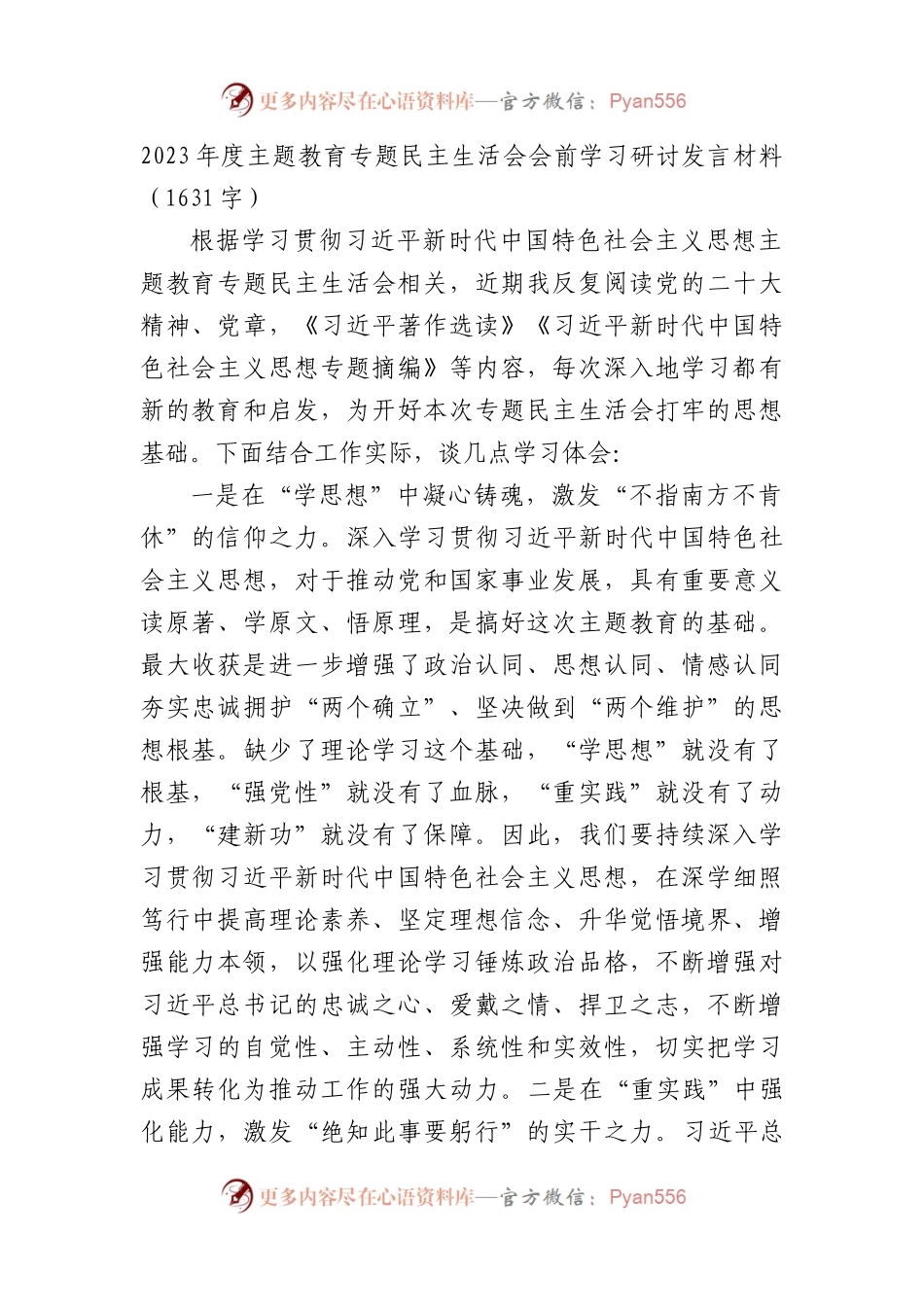 （会前）2023年度主题教育专题民主生活会会前学习研讨发言材料.docx_第1页