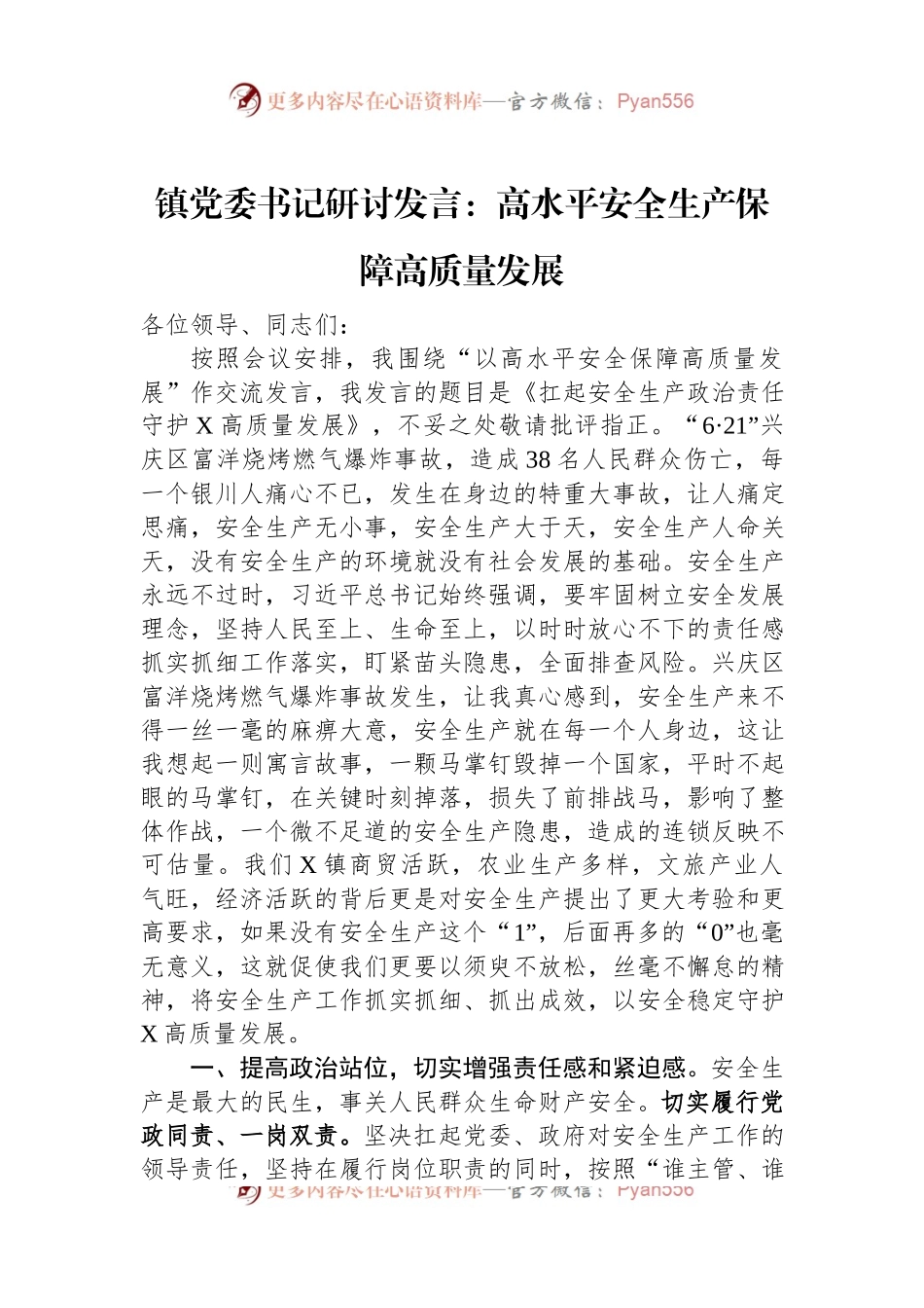 镇党委书记研讨发言：高水平安全生产保障高质量发展.docx_第1页