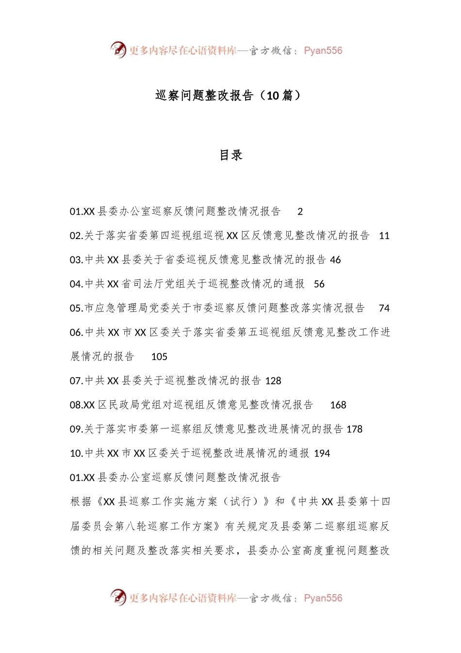 （10篇）巡察问题整改报告.docx_第1页