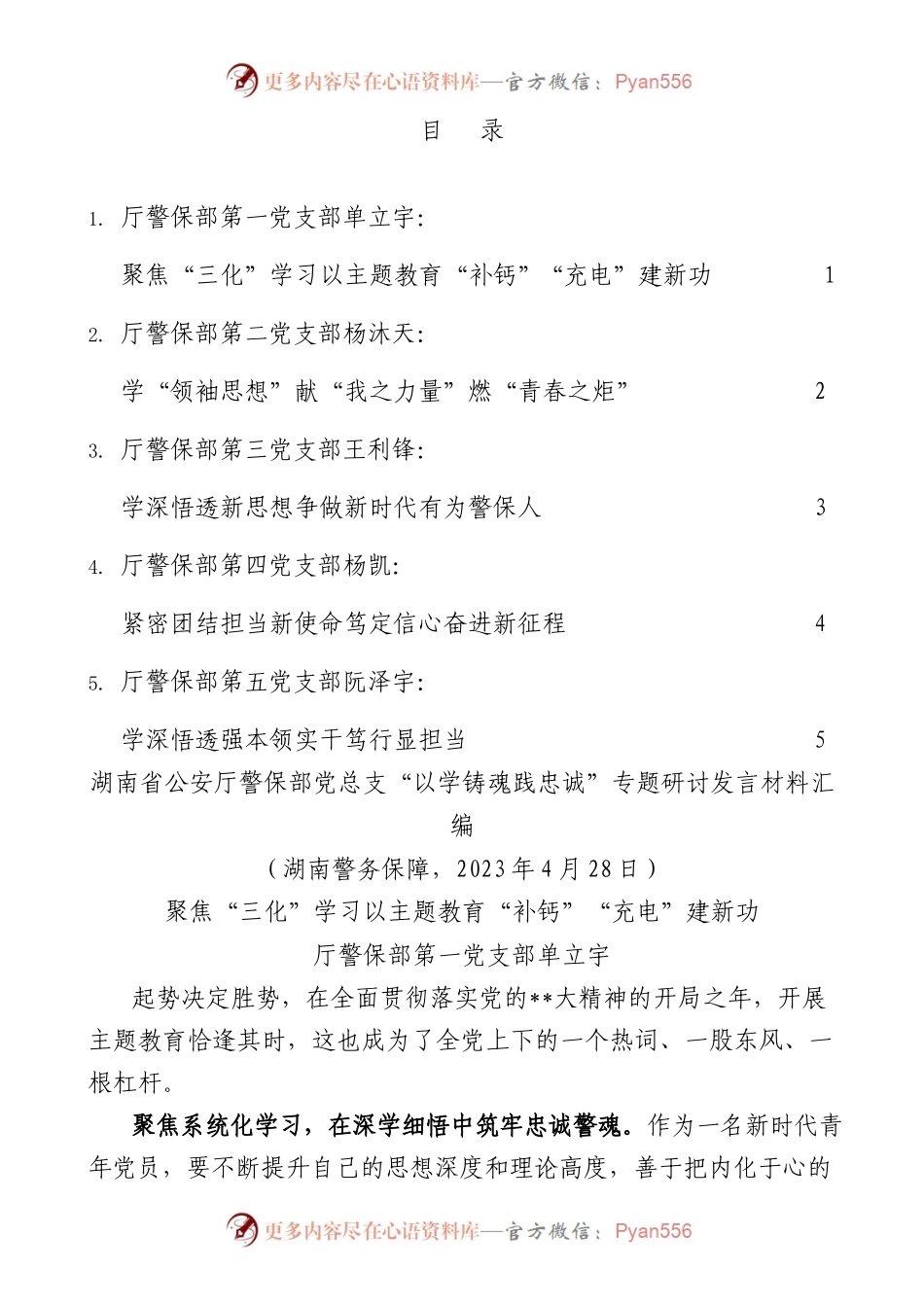 （5篇）湖南省公安厅警保部党总支“以学铸魂践忠诚”专题研讨发言材料汇编（主题教育）.docx_第1页