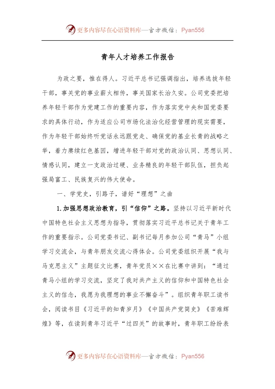 青年人才培养工作报告.docx_第1页