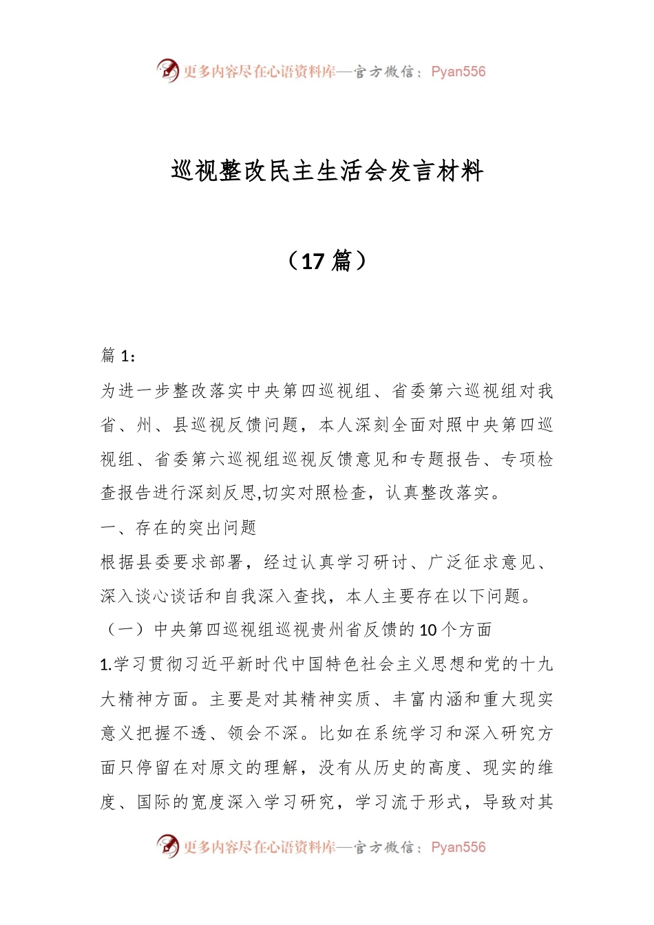 （17篇）巡视整改民主生活会发言材料.docx_第1页