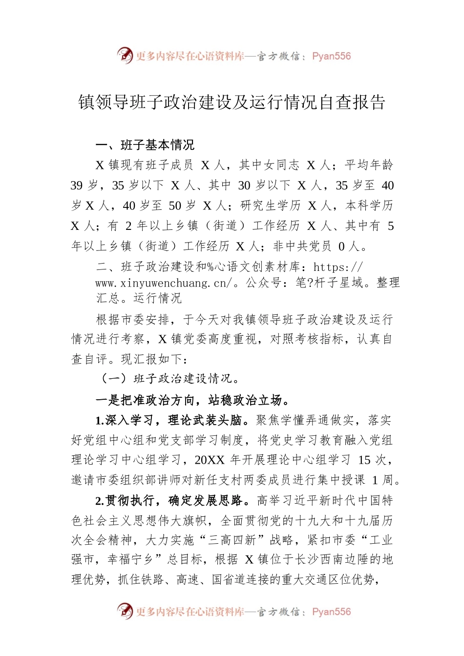 镇领导班子政治建设及运行情况自查报告.docx_第1页
