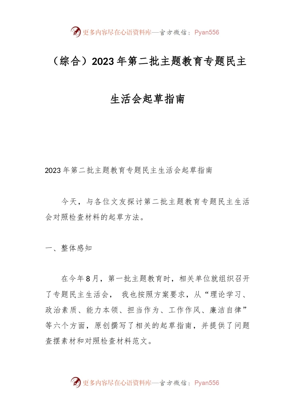 （综合）2023年第二批主题教育专题民主生活会起草指南.docx_第1页