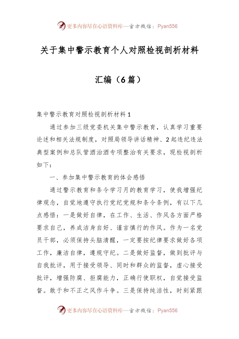 （6篇）关于集中警示教育个人对照检视剖析材料汇编.docx_第1页