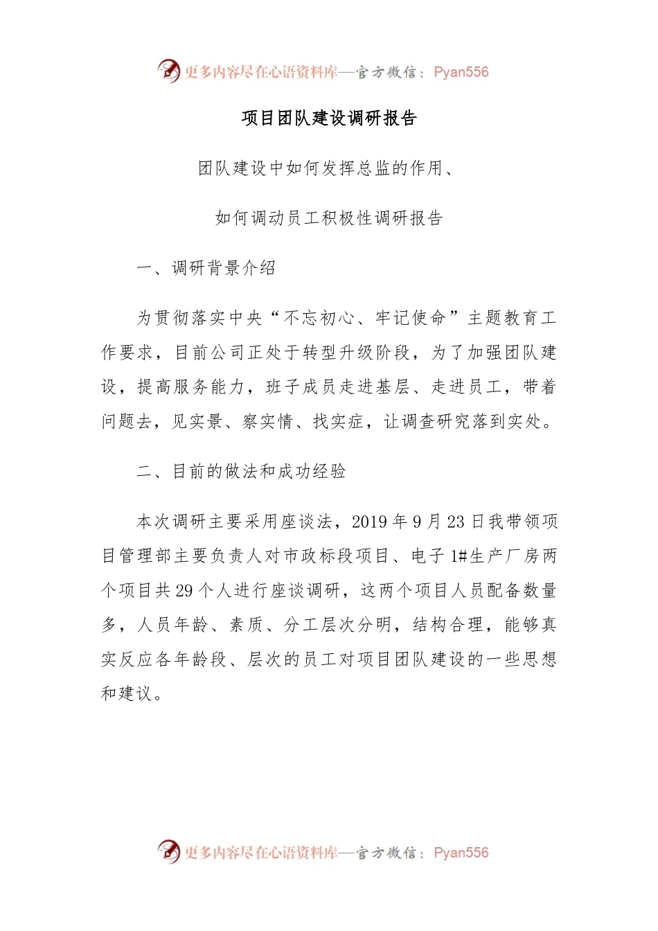项目团队建设调研报告.docx_第1页