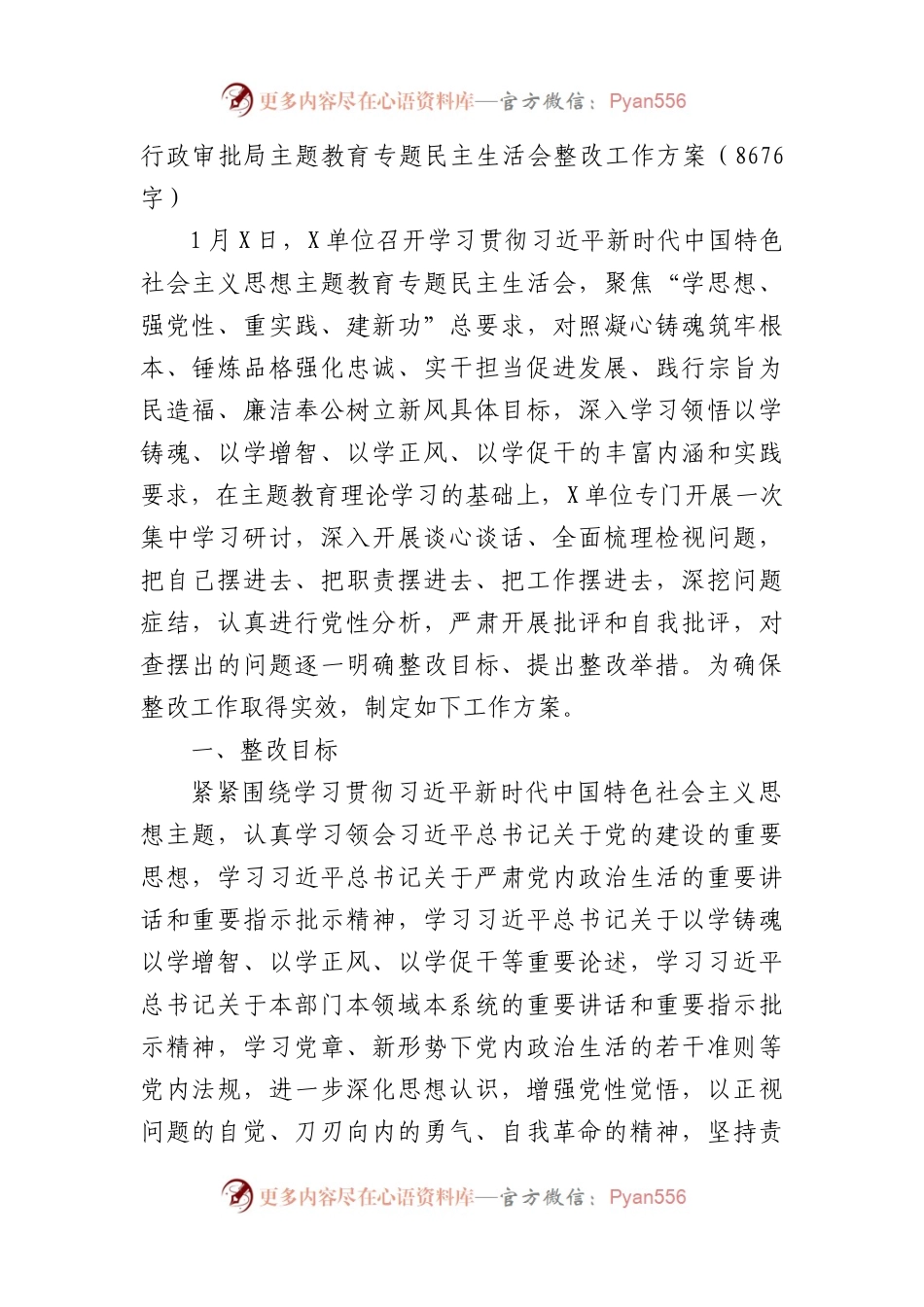 （会后）行政审批局主题教育专题民主生活会整改工作方案.docx_第1页
