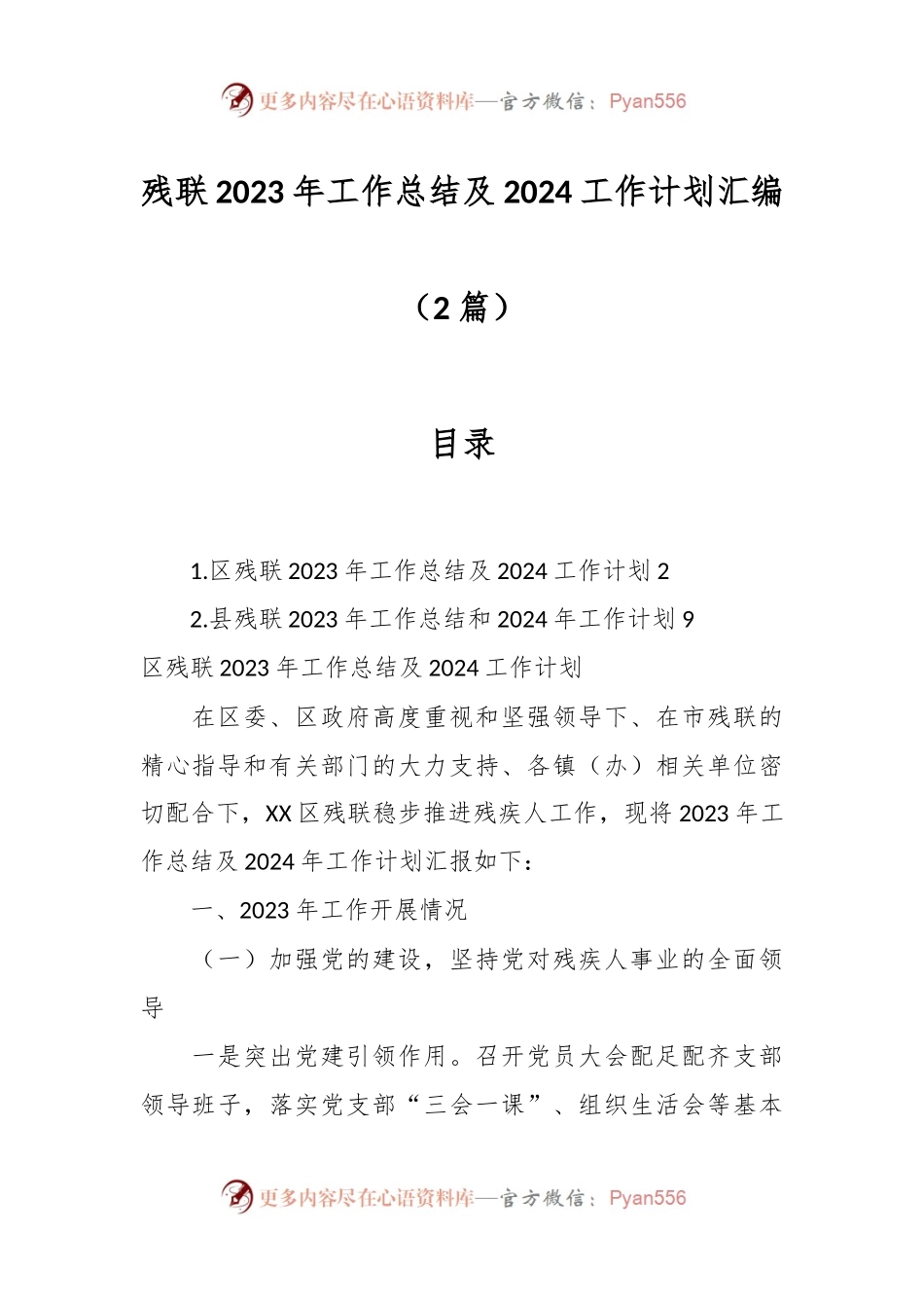 （2篇）残联2023年工作总结及2024工作计划汇编.docx_第1页
