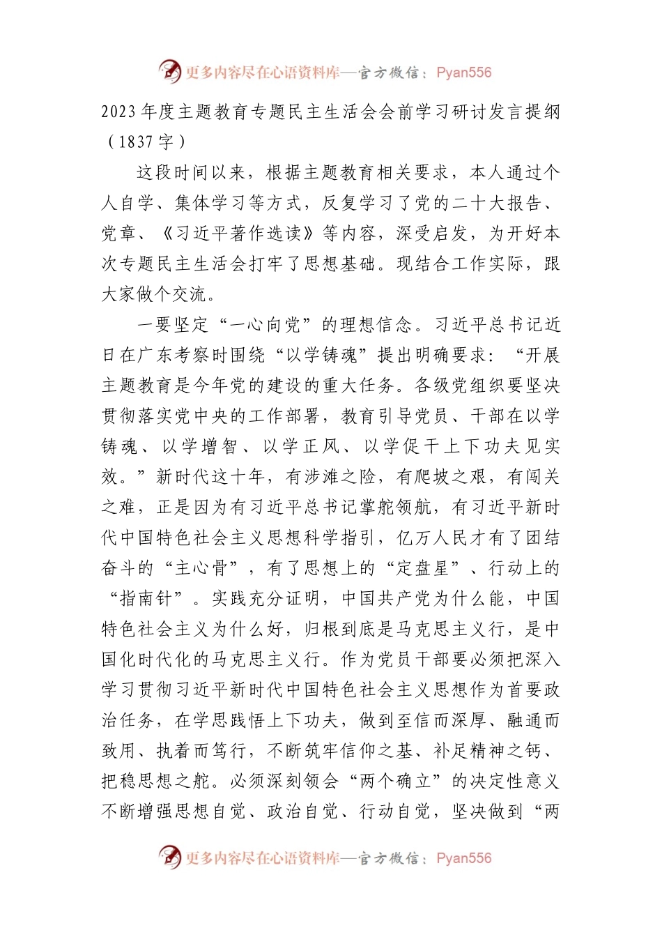 （会前）主题教育民主生活会会前学习研讨发言提纲.docx_第1页