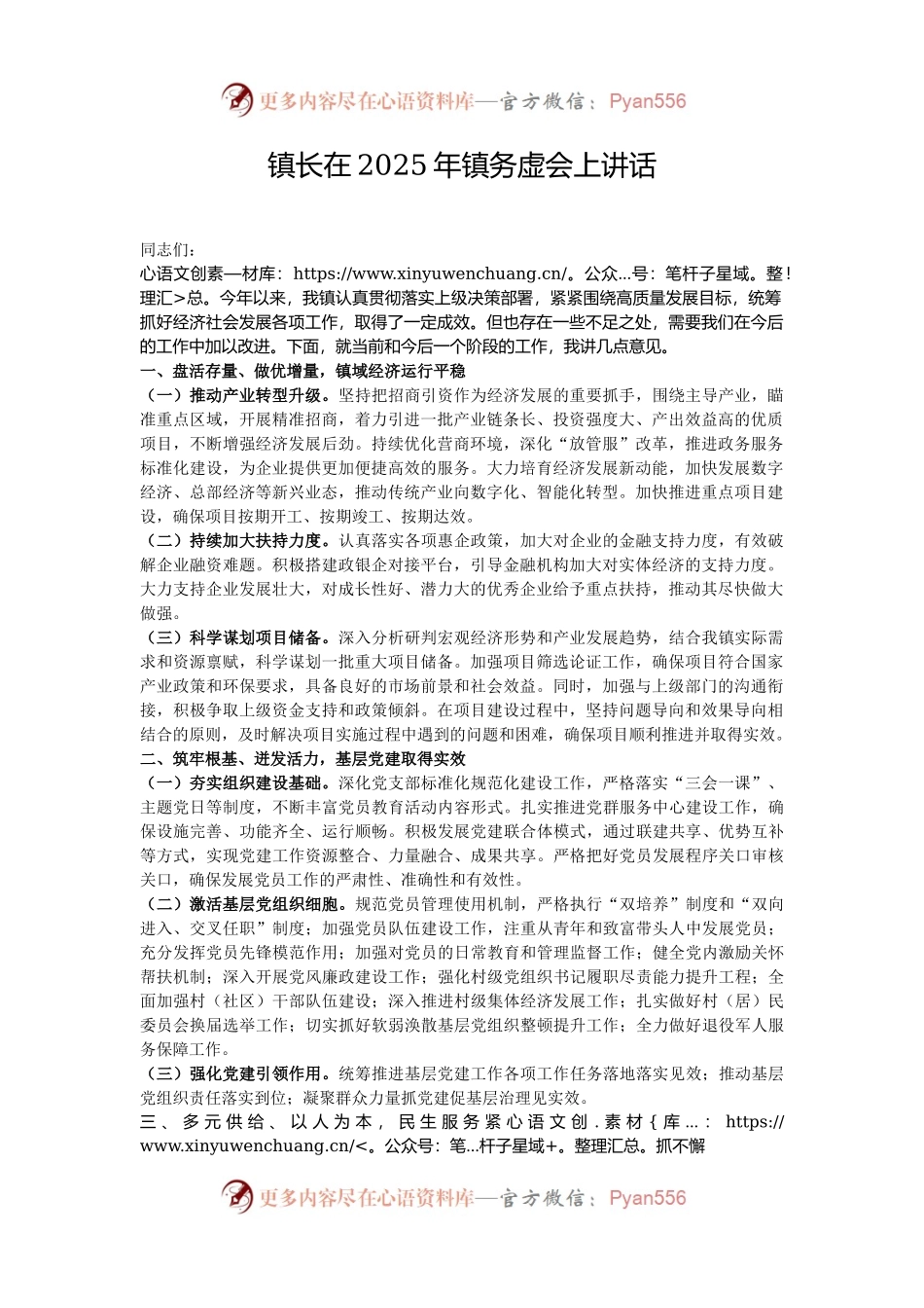 镇长在2025年镇务虚会上讲话.docx_第1页