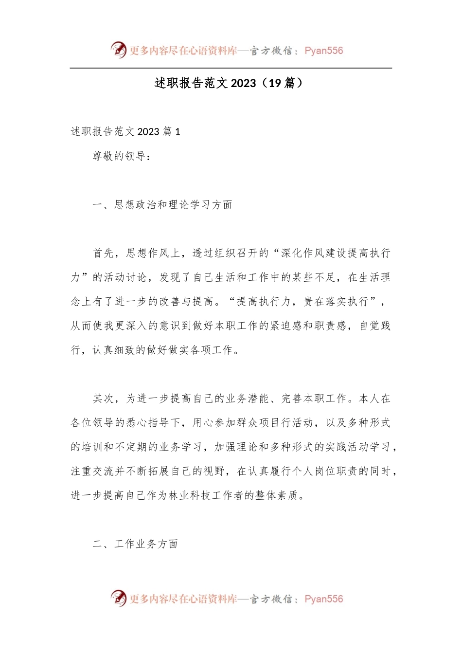 （19篇）述职报告范文2023.docx_第1页