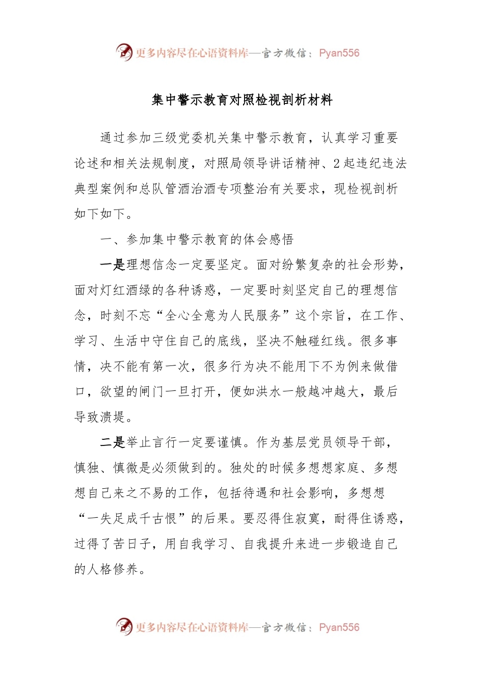 集中警示教育对照检视剖析材料 (5).docx_第1页