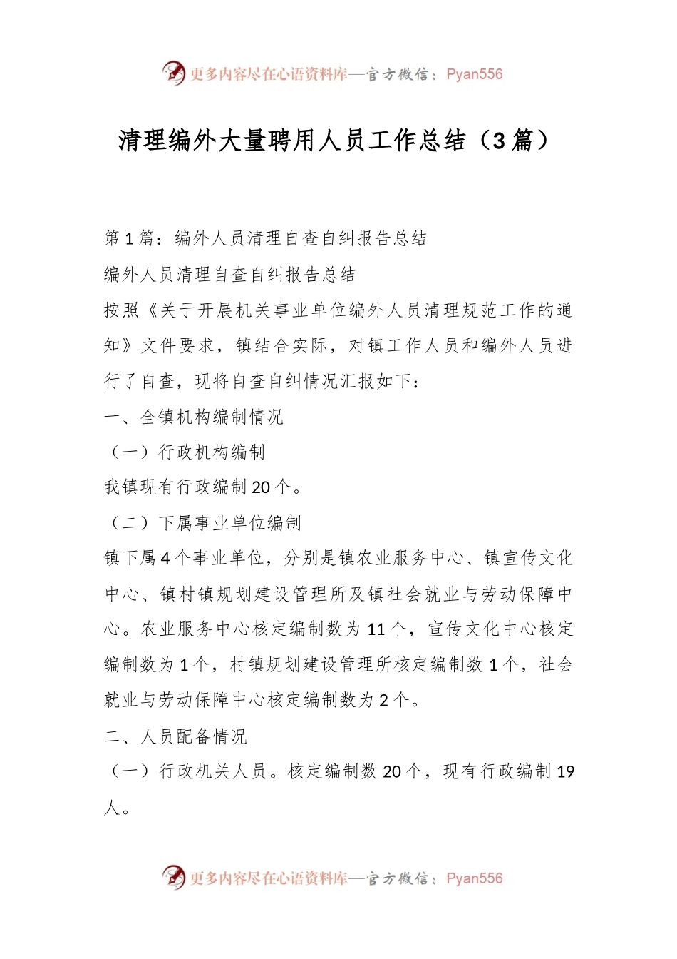 （3篇）清理编外大量聘用人员工作总结.docx_第1页