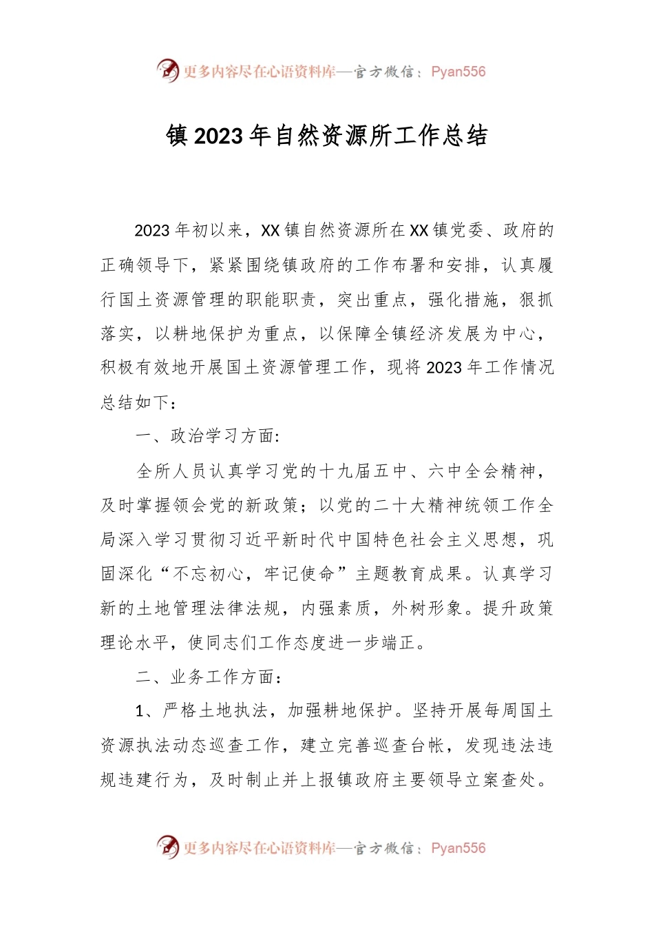 镇2023年自然资源所工作总结.docx_第1页