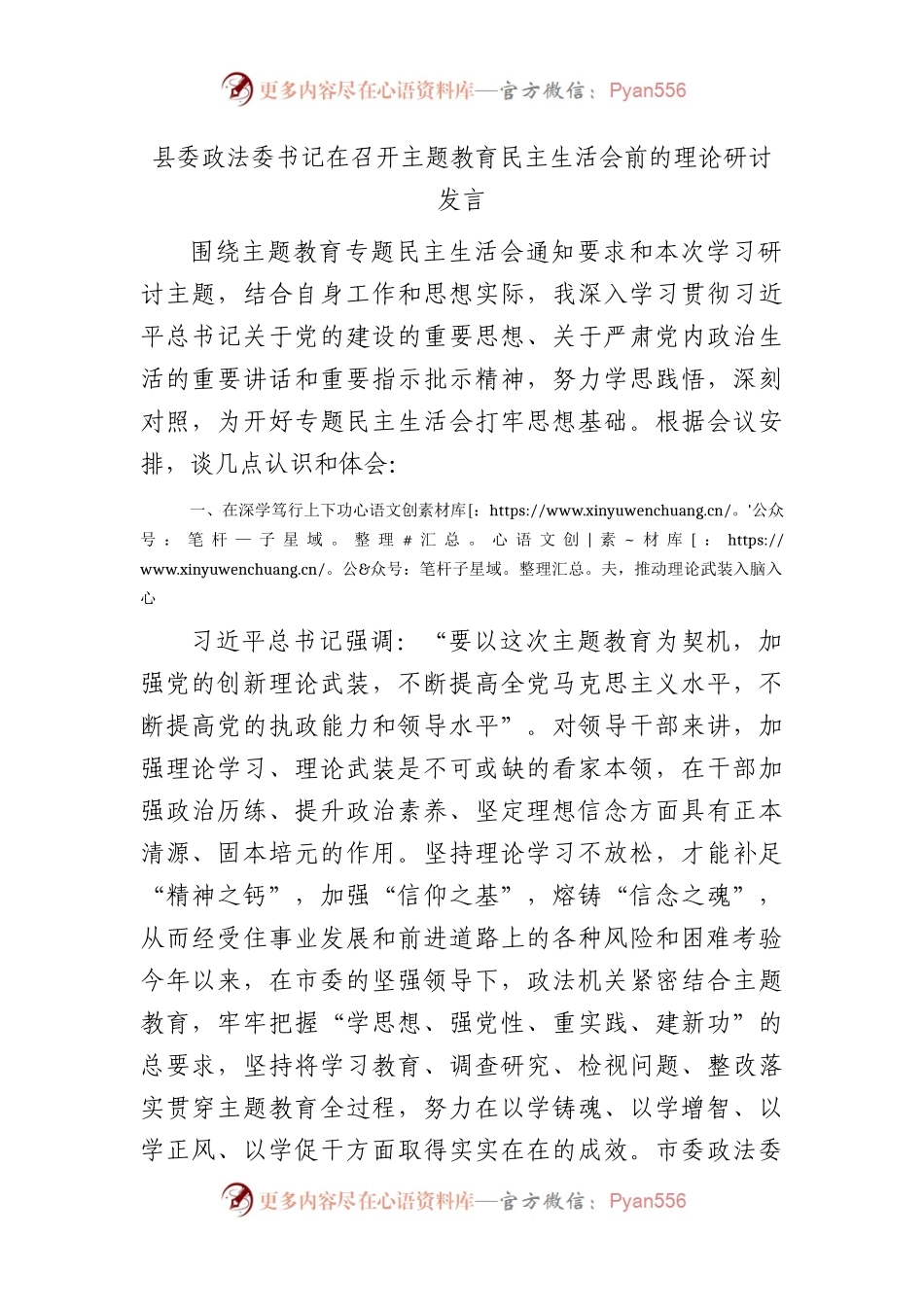 （会前）政法委书记在主题教育专题民主生活会前的理论研讨发言.docx_第1页