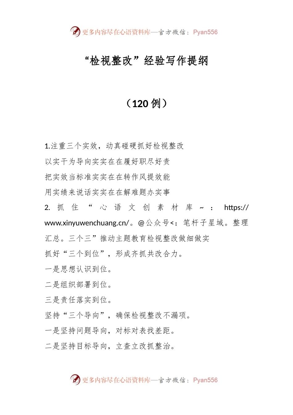 （120例）“检视整改”经验写作提纲.docx_第1页