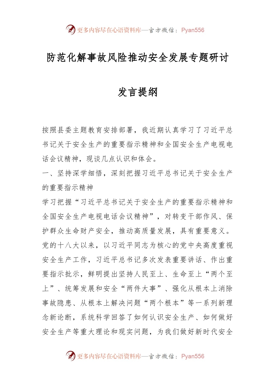 防范化解事故风险推动安全发展专题研讨发言提纲.docx_第1页