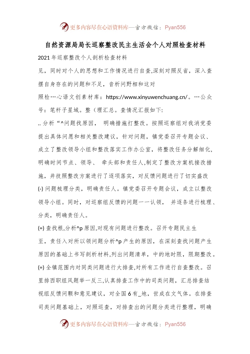 （3篇）自然资源局局长巡察整改民主生活会个人对照检查材料.docx_第1页