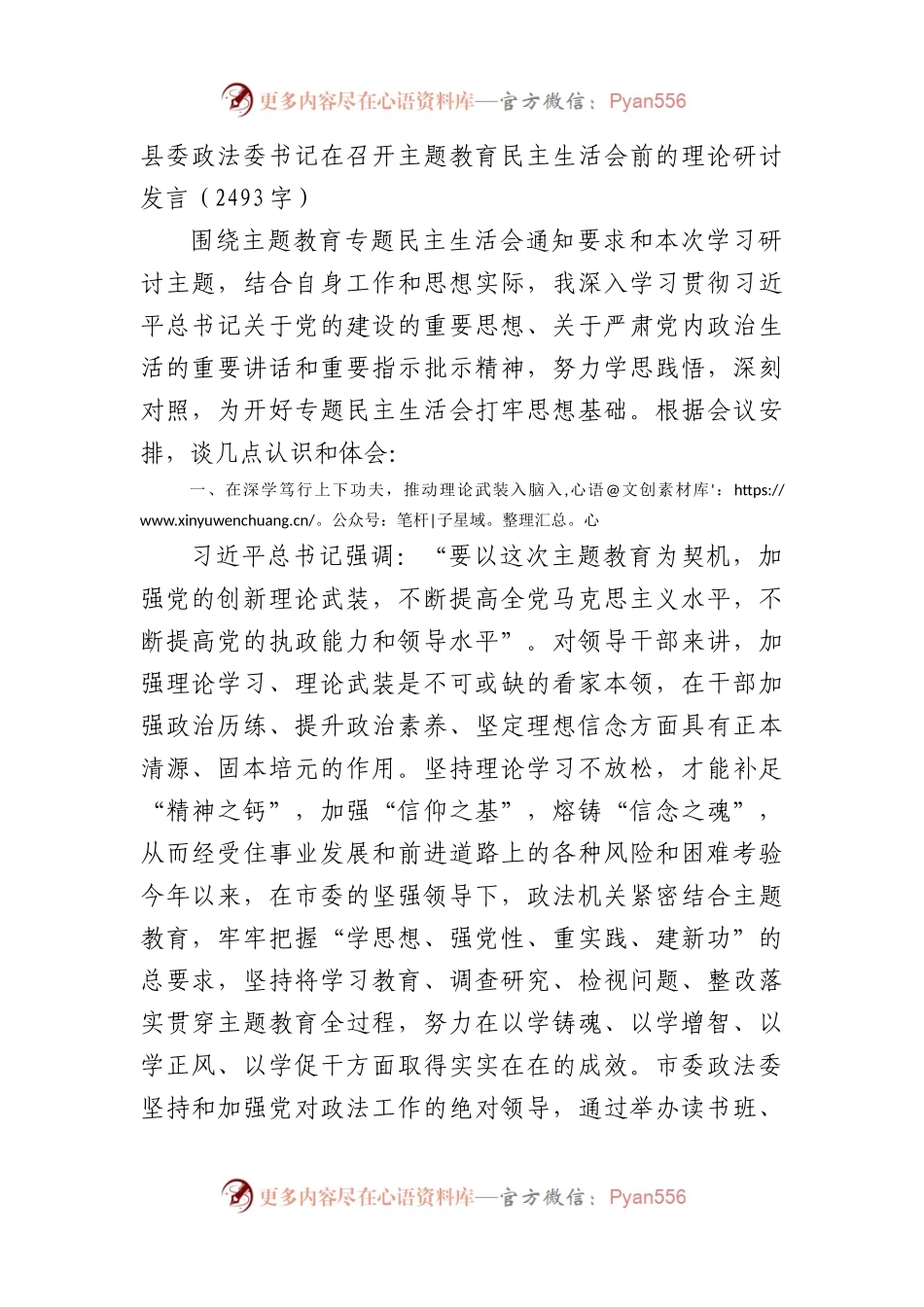 （会前）县委政法委书记在召开主题教育民主生活会前的理论研讨发言.docx_第1页