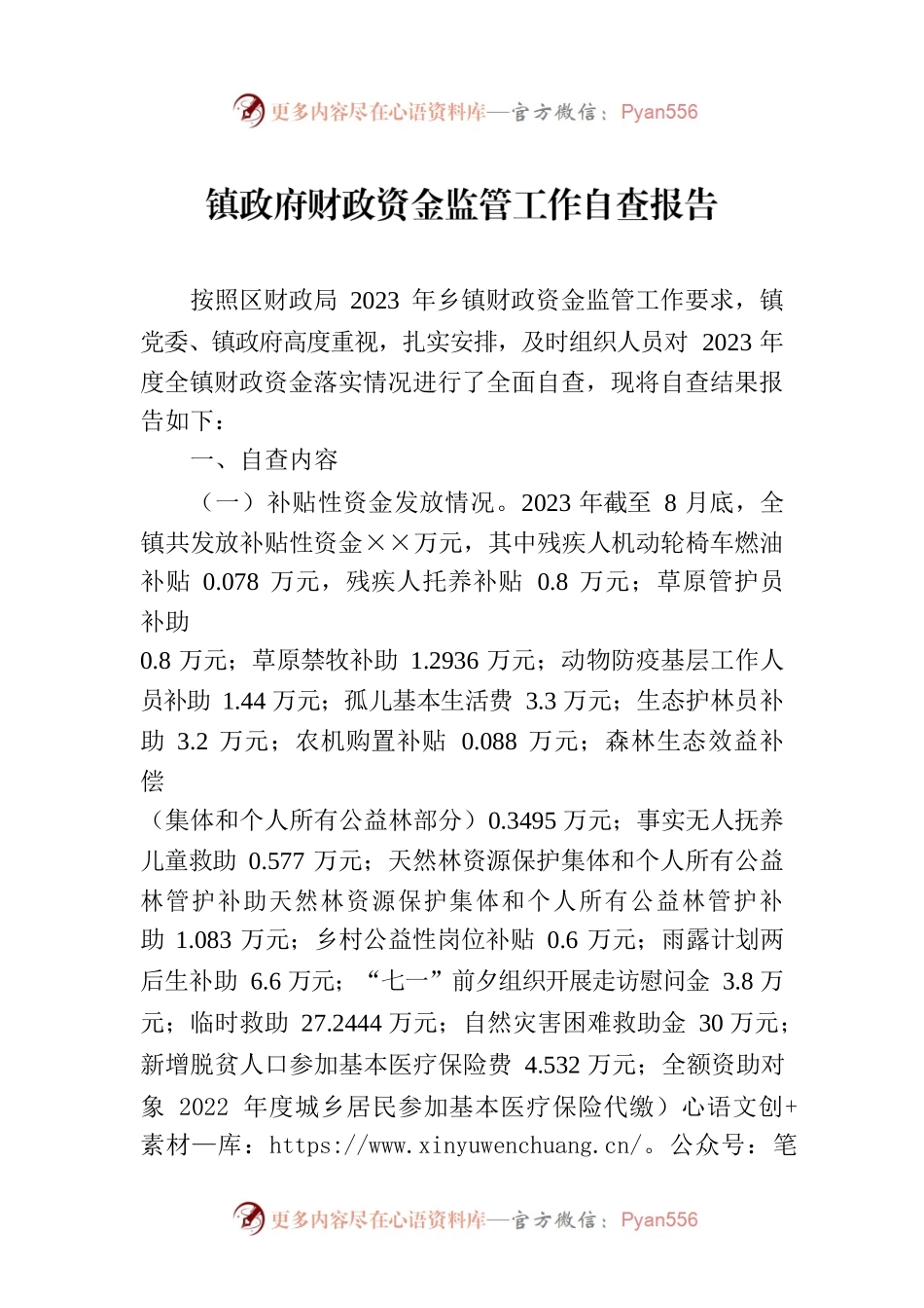 镇政府财政资金监管工作自查报告.docx_第1页