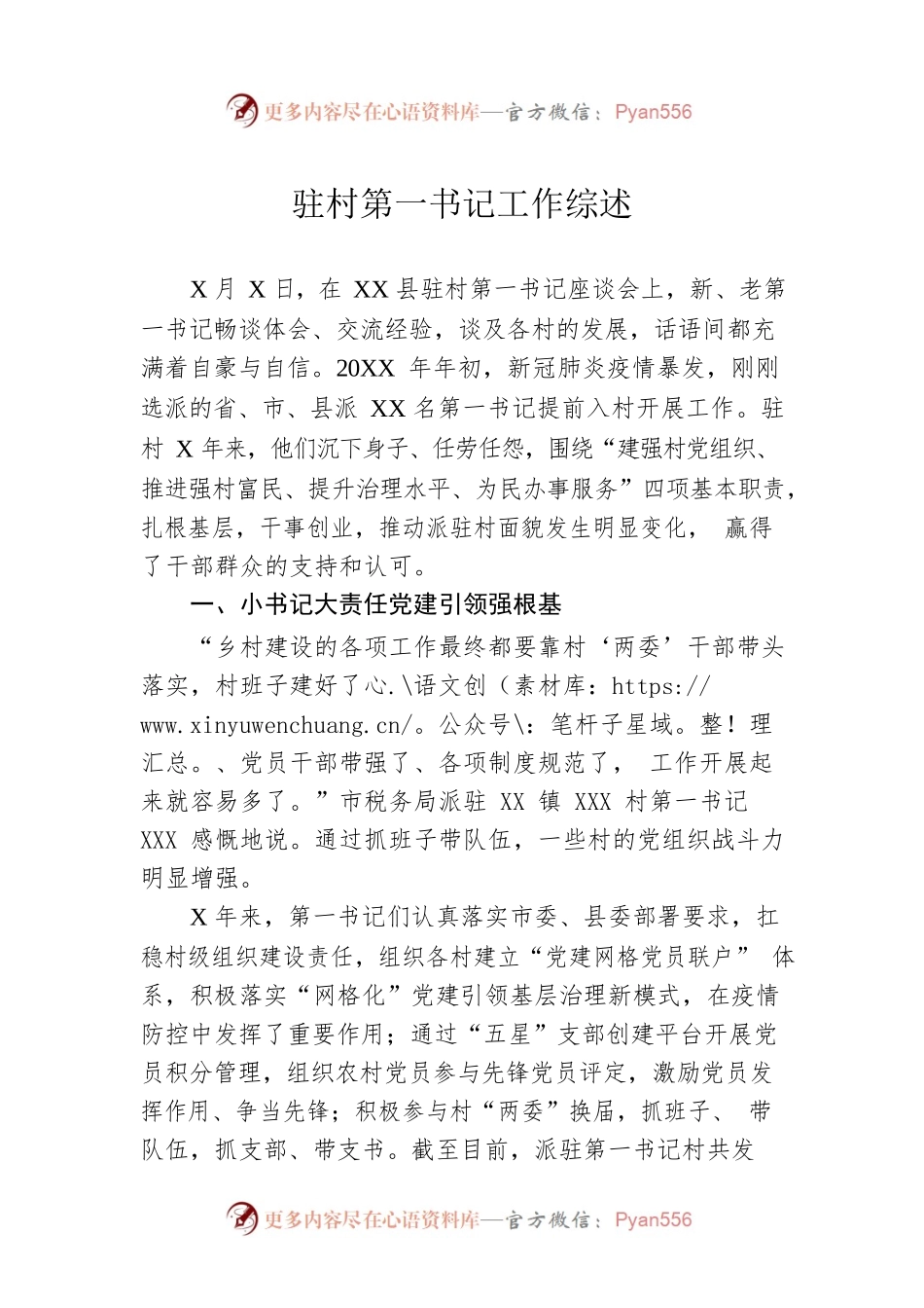 驻村第一书记工作综述.docx_第1页