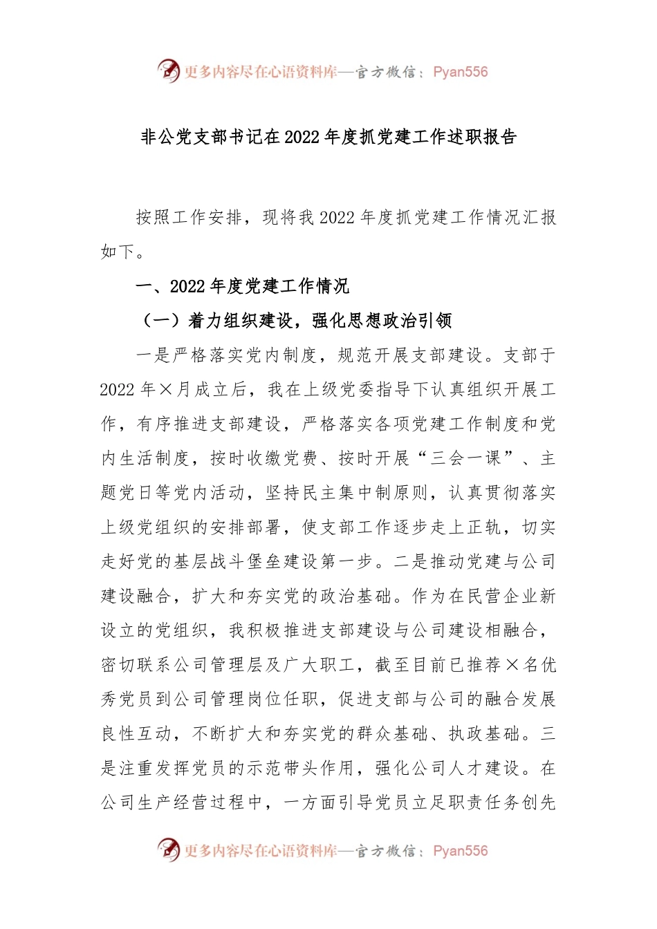 非公党支部书记在2022年度抓党建工作述职报告.docx_第1页