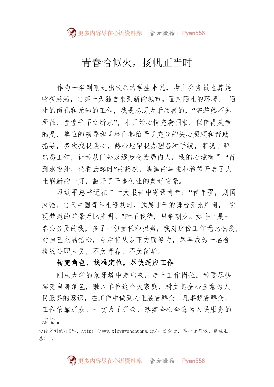 青春恰似火，扬帆正当时——选调生座谈会发言材料.docx_第1页