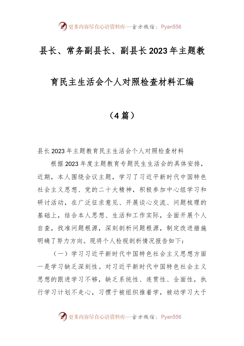 （4篇）县长、常务副县长、副县长2023年主题教育民主生活会个人对照检查材料汇编.docx_第1页