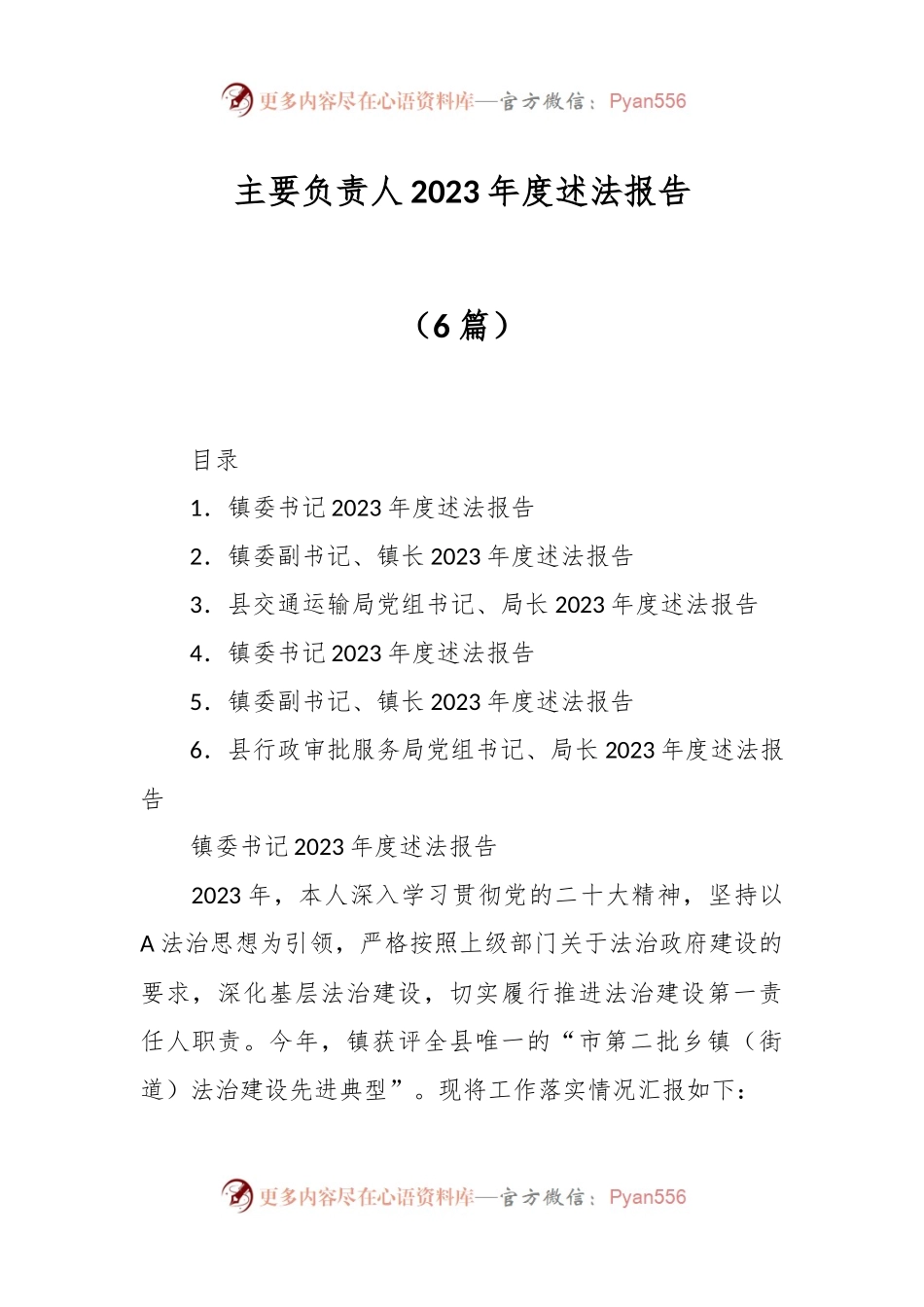 （6篇）主要负责人2023年度述法报告.docx_第1页