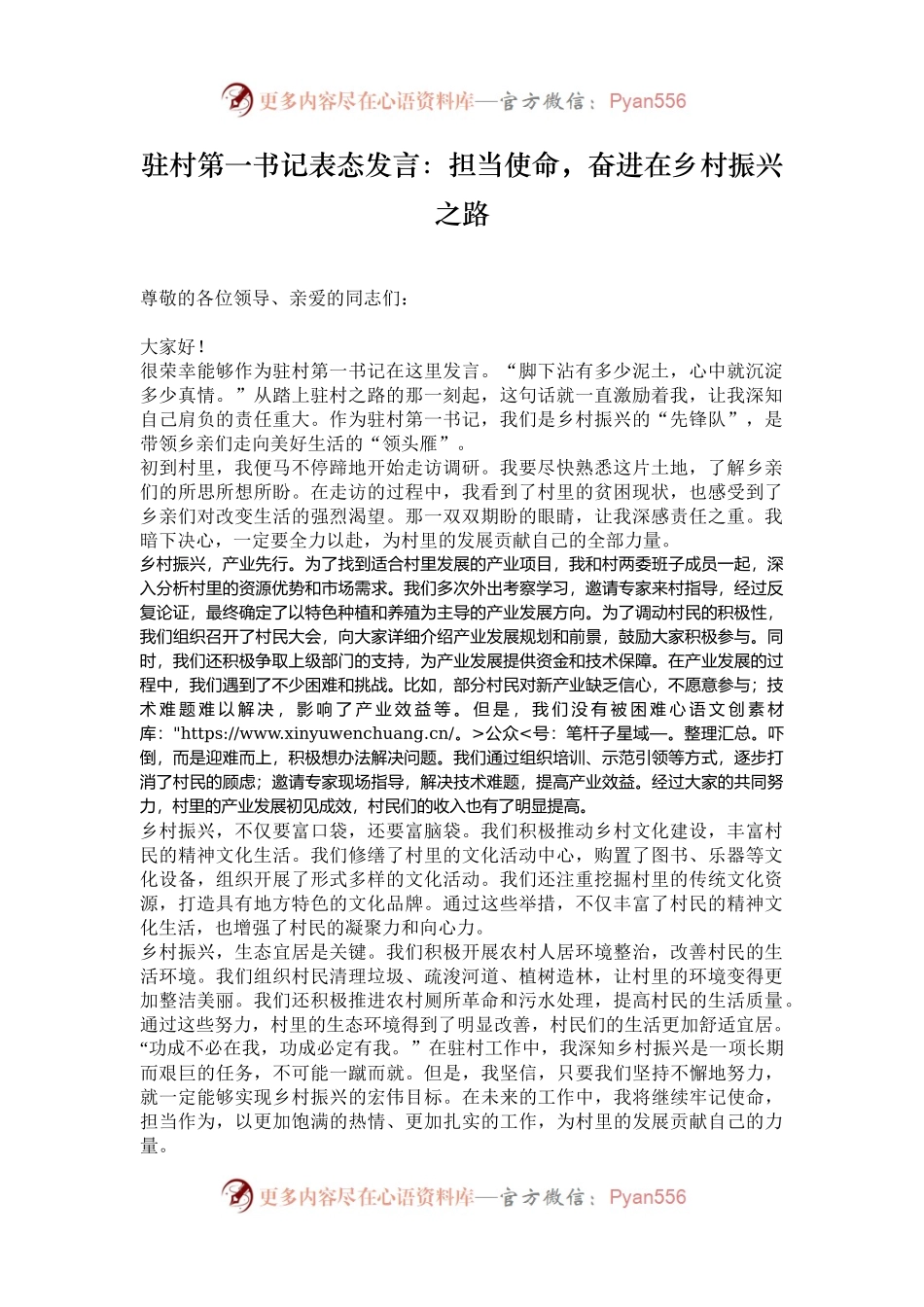 驻村第一书记表态发言：担当使命，奋进在乡村振兴之路.docx_第1页