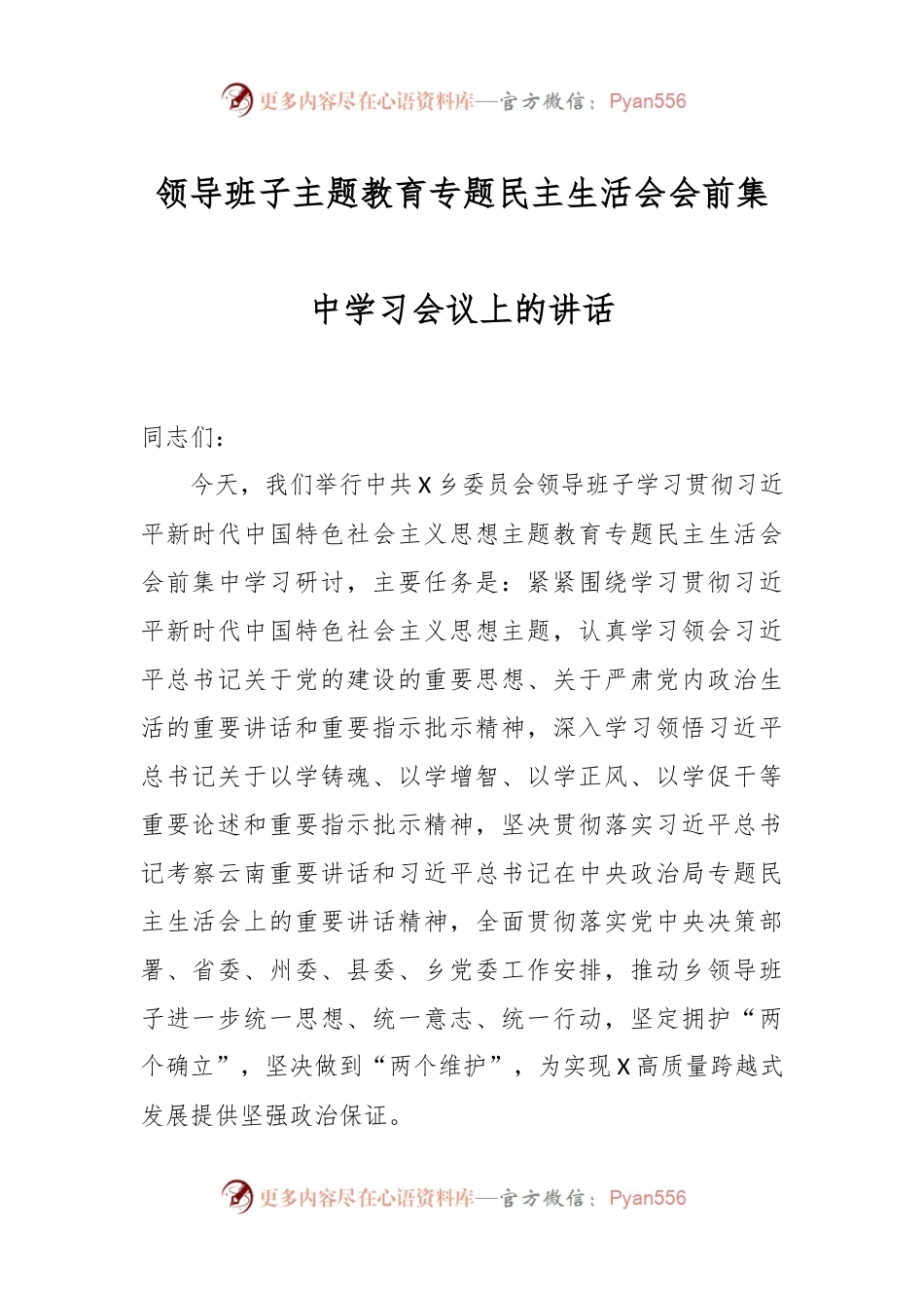领导班子主题教育专题民主生活会会前集中学习会议上的讲话.docx_第1页